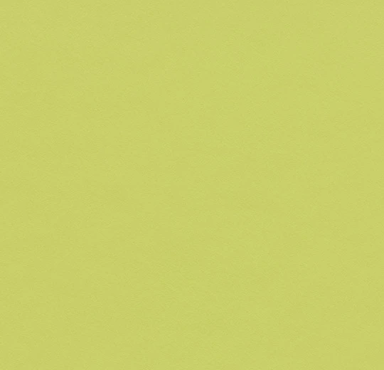 Desktop Linoleum spring green