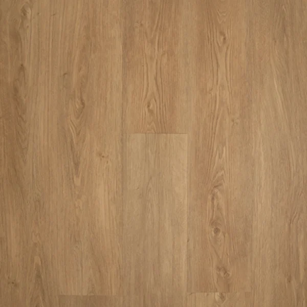 Timberman Novego Plus – Birmingham