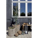 House Nordic Indo Kurve