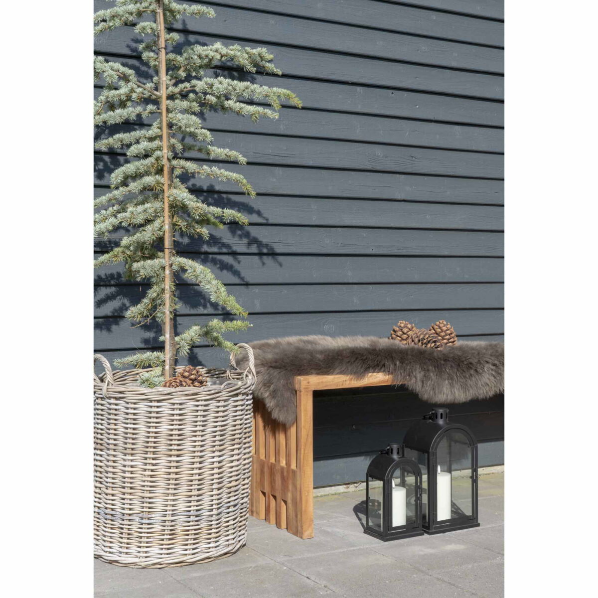 House Nordic Indo Kurve