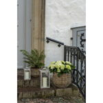 House Nordic Pulo Kurve
