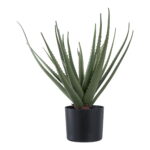 House Nordic Kunstig plante, grøn, H:51 cm