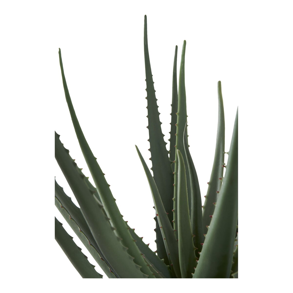 House Nordic Kunstig plante, grøn, H:51 cm