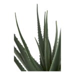 House Nordic Kunstig plante, grøn, H:51 cm