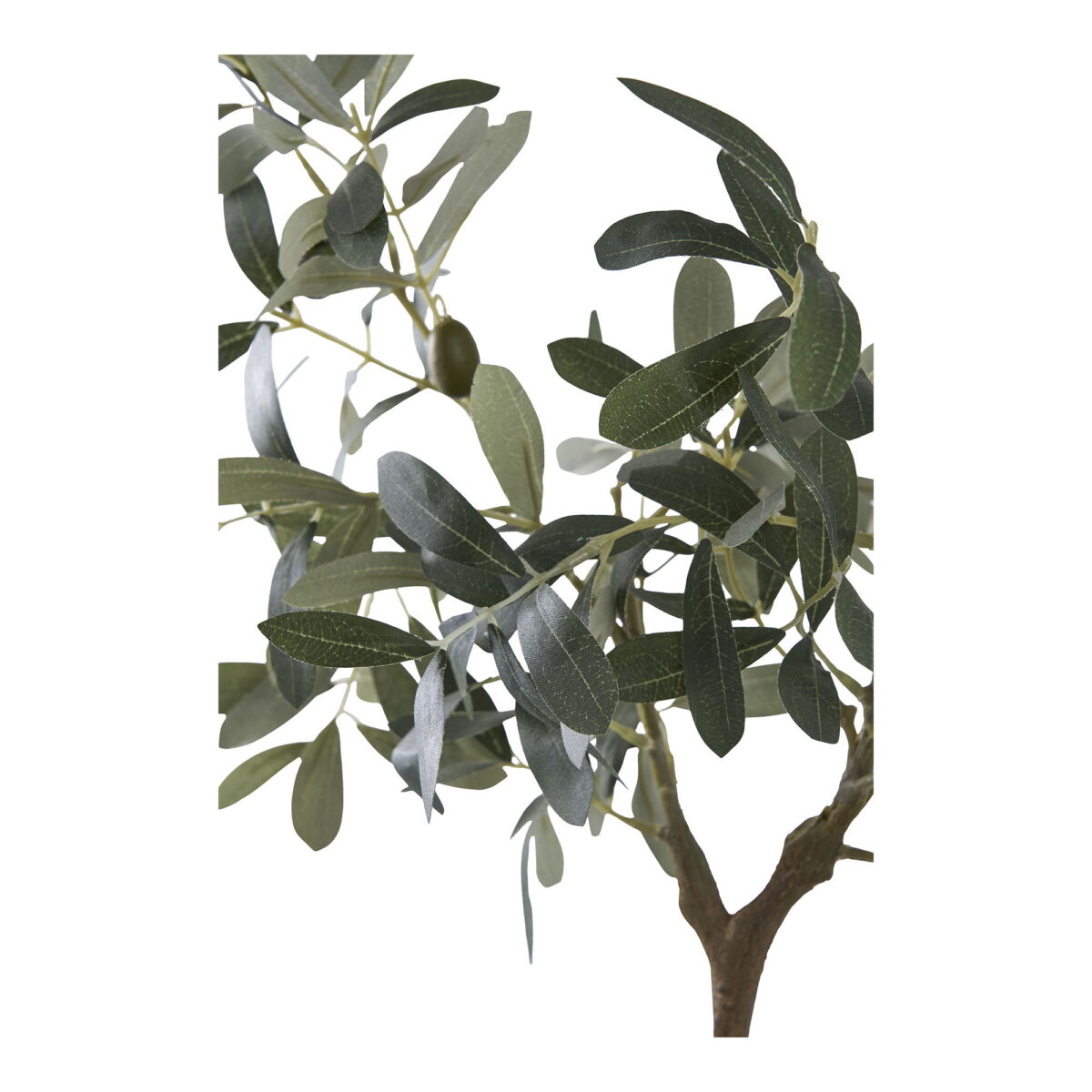 House Nordic Kunstig plante, grøn, H:61 cm