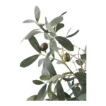 House Nordic Kunstig plante, grøn, H:61 cm