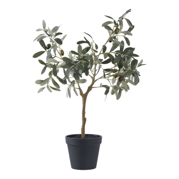 House Nordic Kunstig plante, grøn, H:61 cm