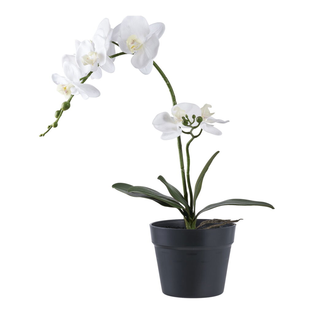 House Nordic Kunstig plante, grøn/hivd, H:49 cm