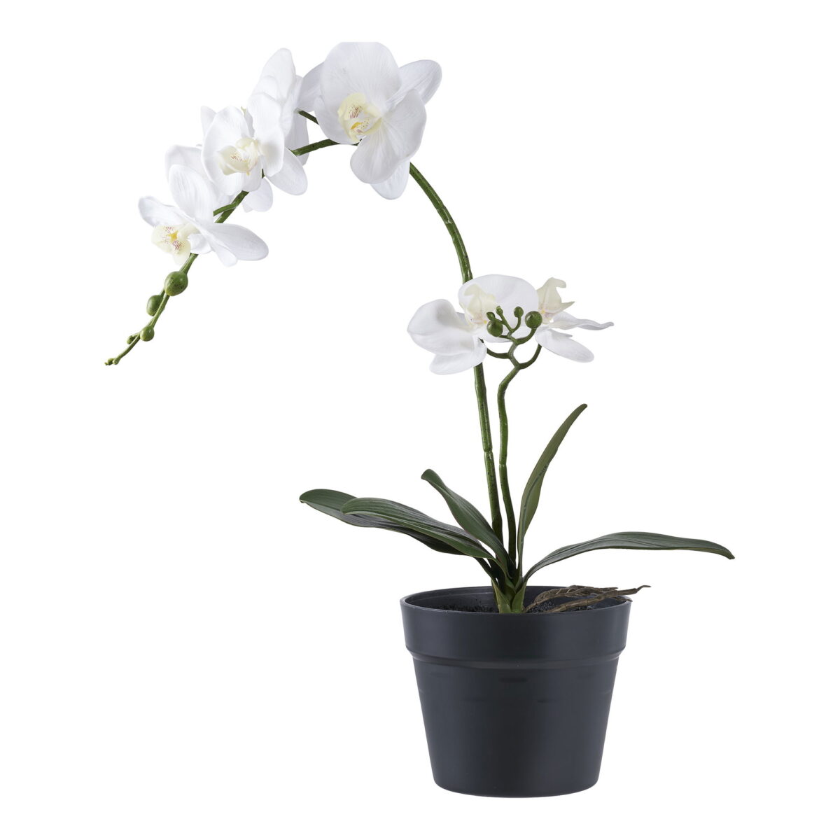 House Nordic Kunstig plante, grøn/hivd, H:49 cm