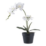 House Nordic Kunstig plante, grøn/hivd, H:49 cm