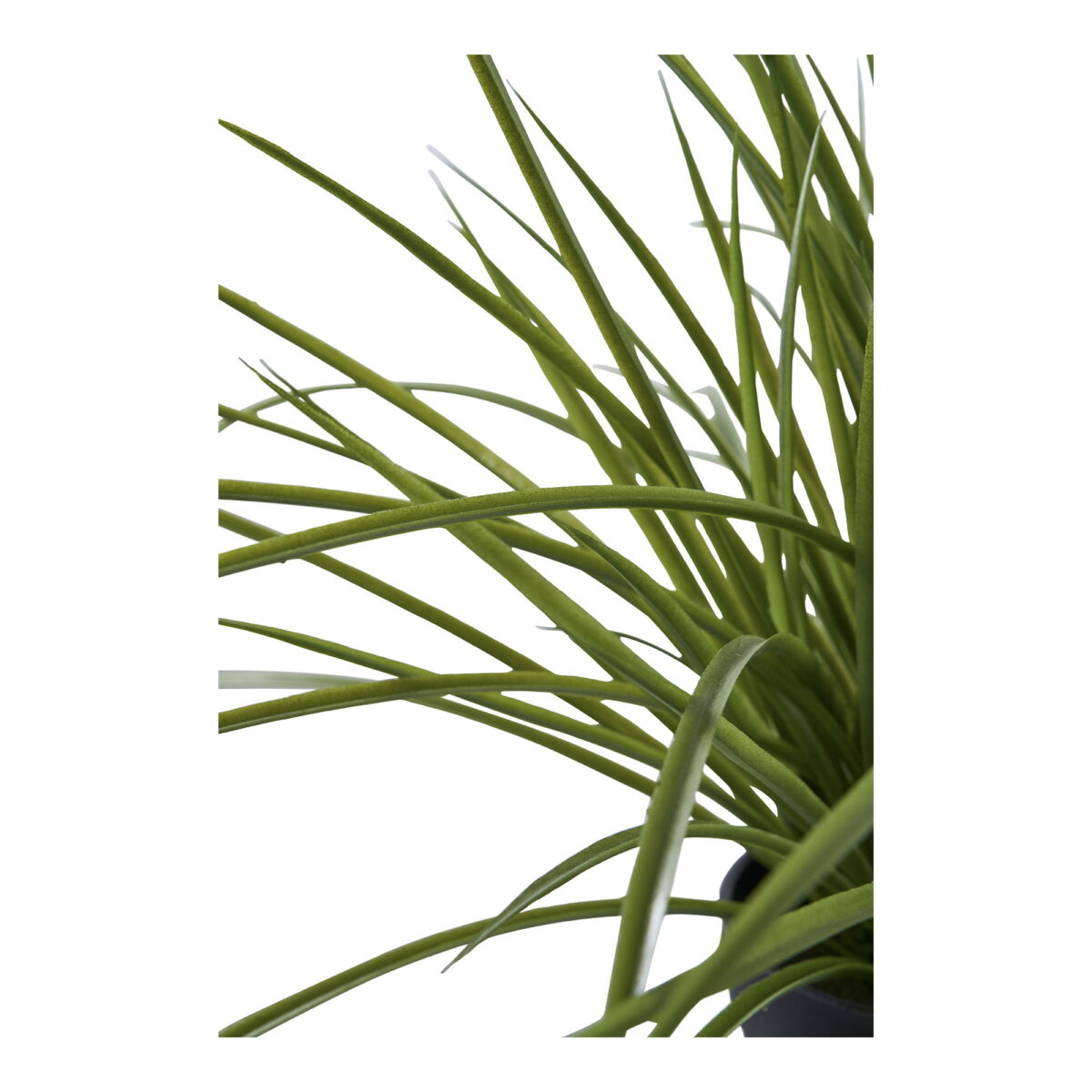 House Nordic Kunstig plante, grøn, H:45 cm