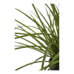 House Nordic Kunstig plante, grøn, H:45 cm