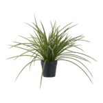 House Nordic Kunstig plante, grøn, H:45 cm