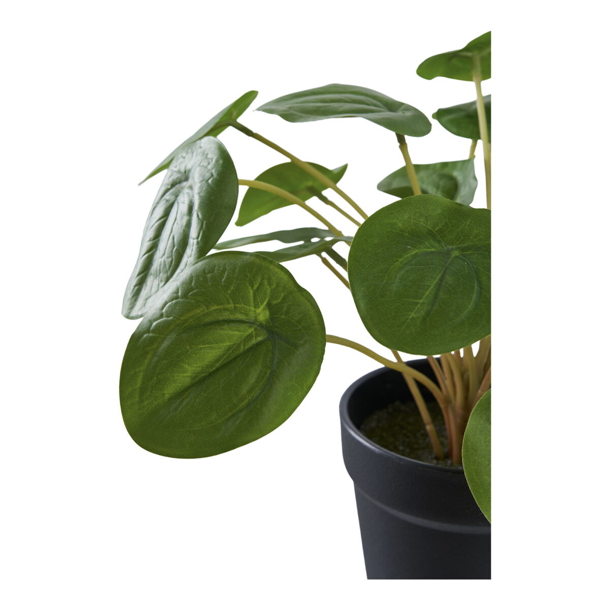 House Nordic Kunstig plante, grøn, H:28 cm