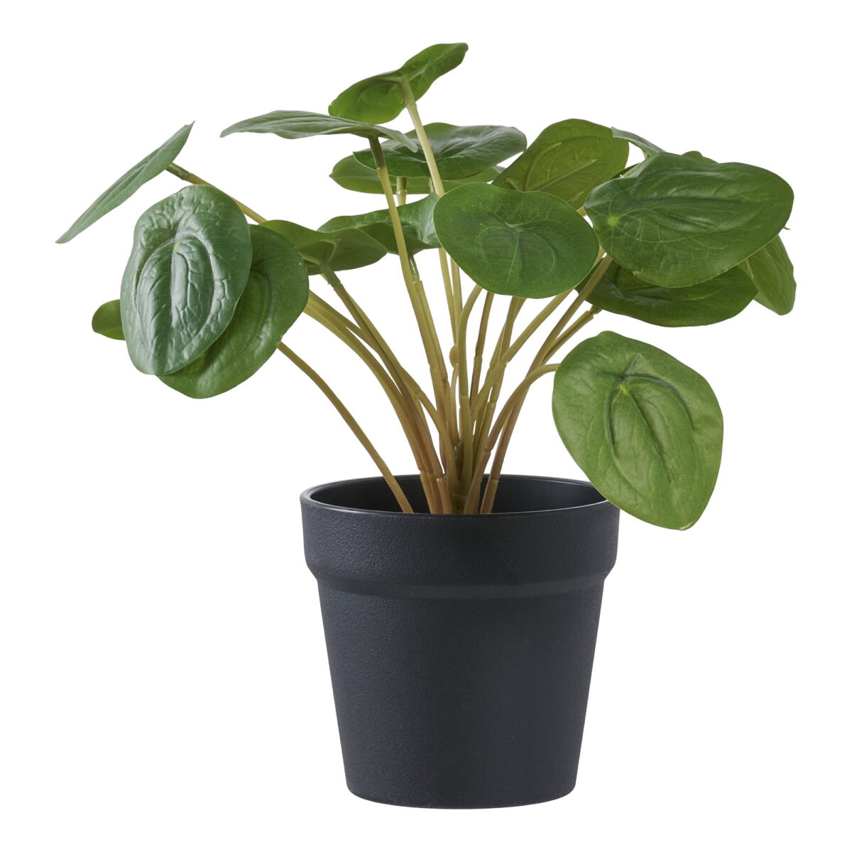 House Nordic Kunstig plante, grøn, H:28 cm