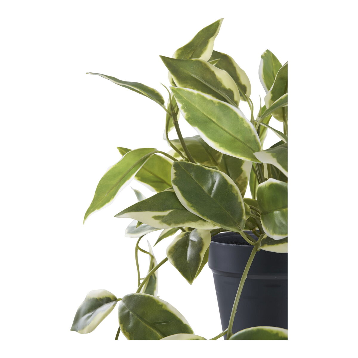 House Nordic Kunstig plante, grøn, H:33 cm