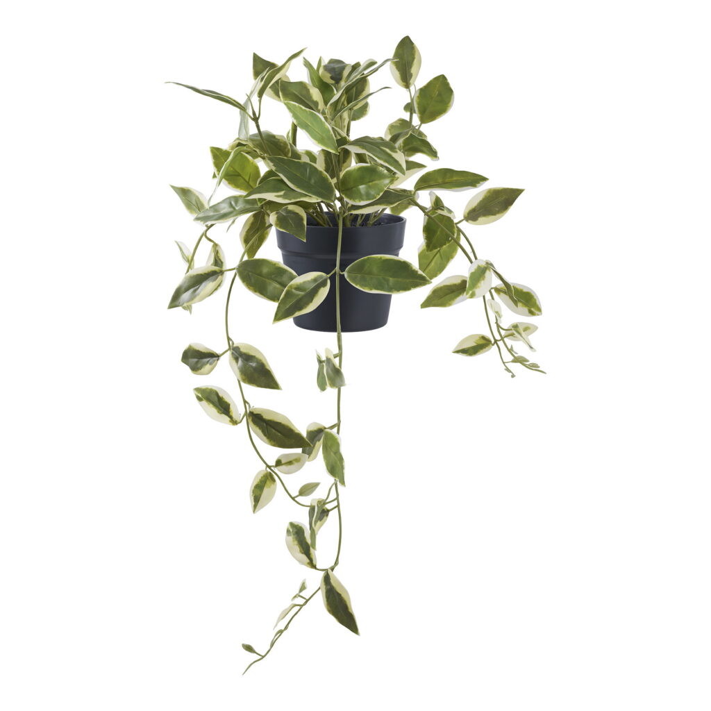 House Nordic Kunstig plante, grøn, H:33 cm