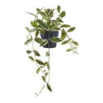 House Nordic Kunstig plante, grøn, H:33 cm
