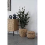 House Nordic Kunstig plante, grøn, H:120 cm