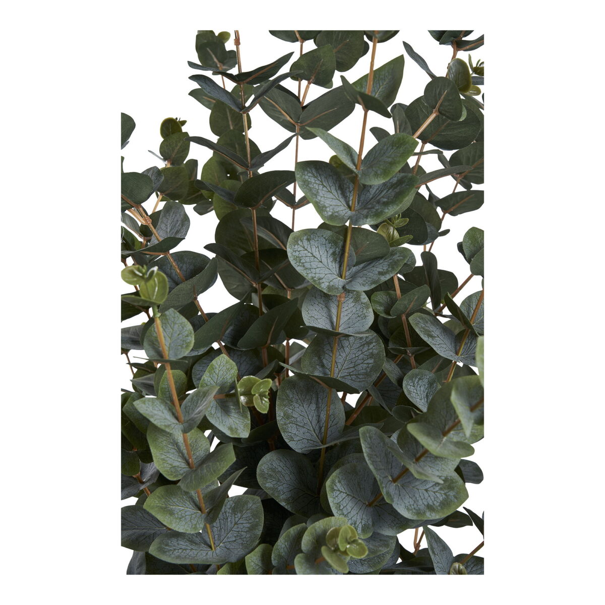 House Nordic Kunstig plante, grøn, H:120 cm