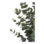 House Nordic Kunstig plante, grøn, H:120 cm