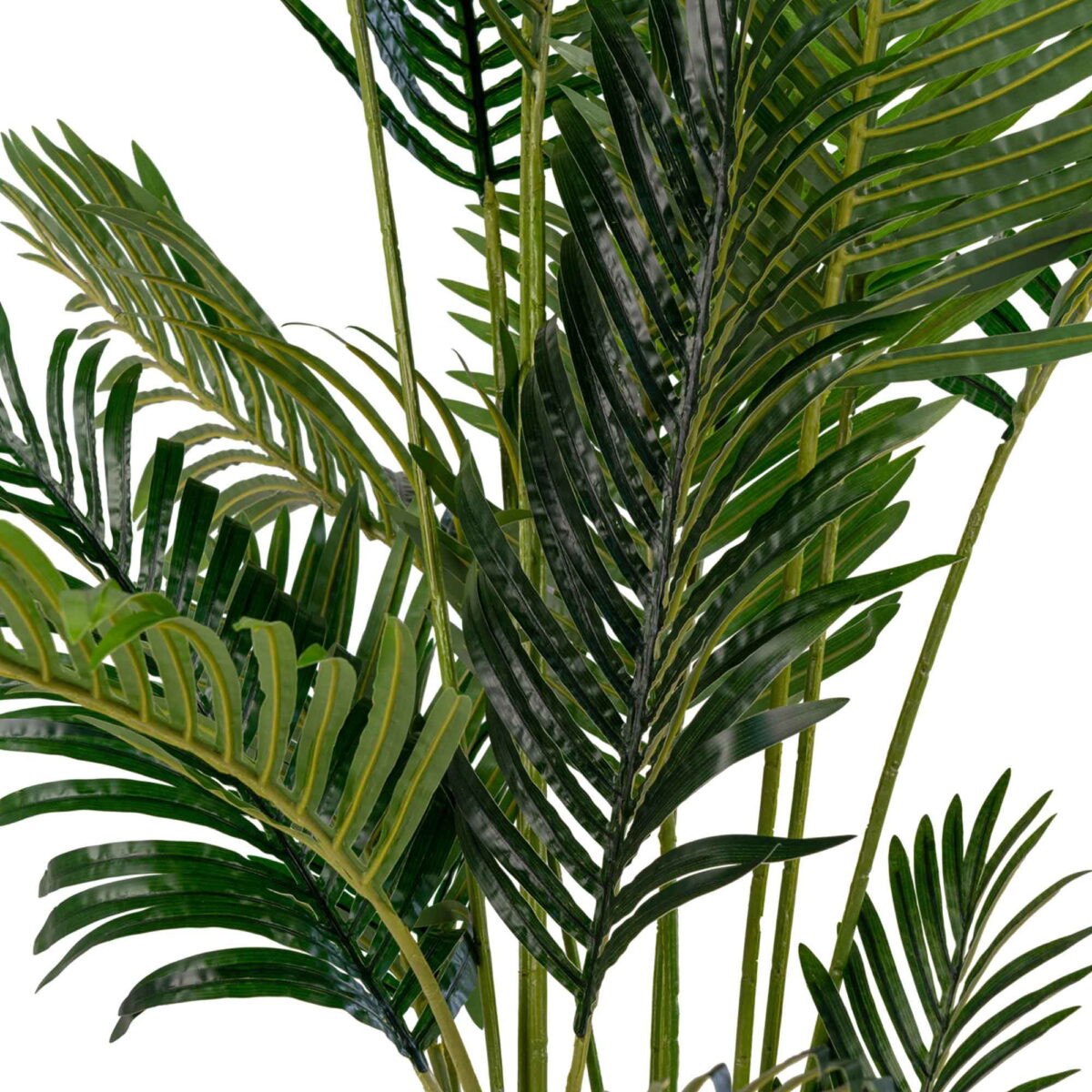 House Nordic Kunstig palme, grøn, H:175 cm