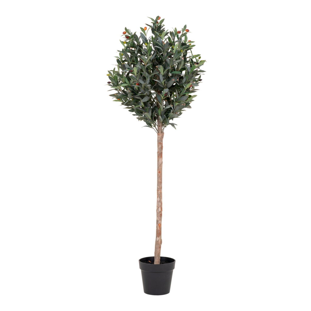 House Nordic Kunstig plante, grøn, H:150 cm