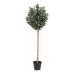 House Nordic Kunstig plante, grøn, H:150 cm