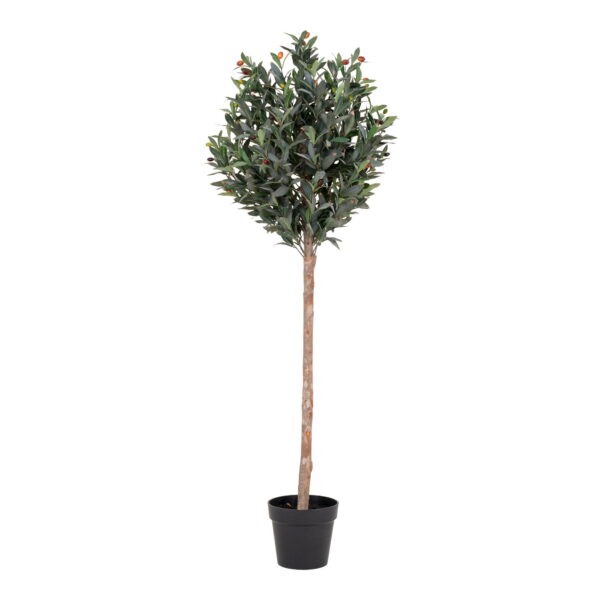 House Nordic Kunstig plante, grøn, H:150 cm