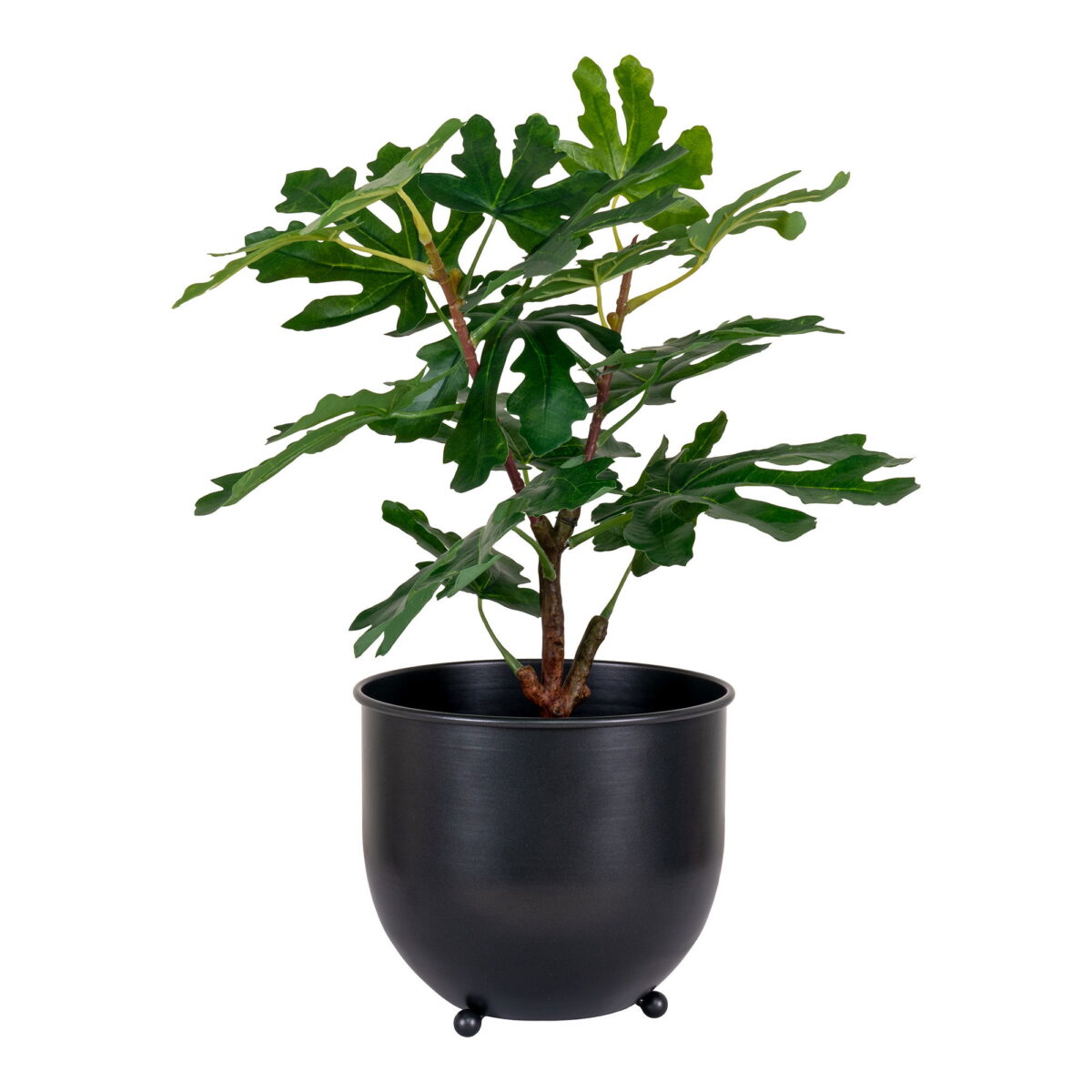 House Nordic Kunstig plante, grøn, H:60 cm