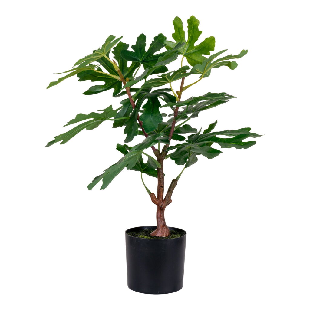 House Nordic Kunstig plante, grøn, H:60 cm