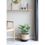 House Nordic Kunstig plante, grøn, H:60 cm