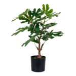 House Nordic Kunstig plante, grøn, H:60 cm