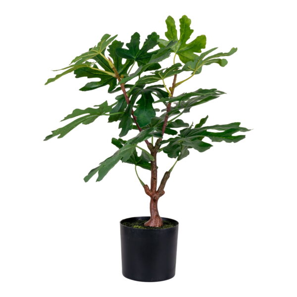 House Nordic Kunstig plante, grøn, H:60 cm