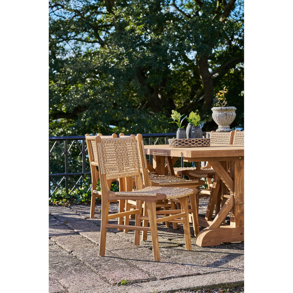teak