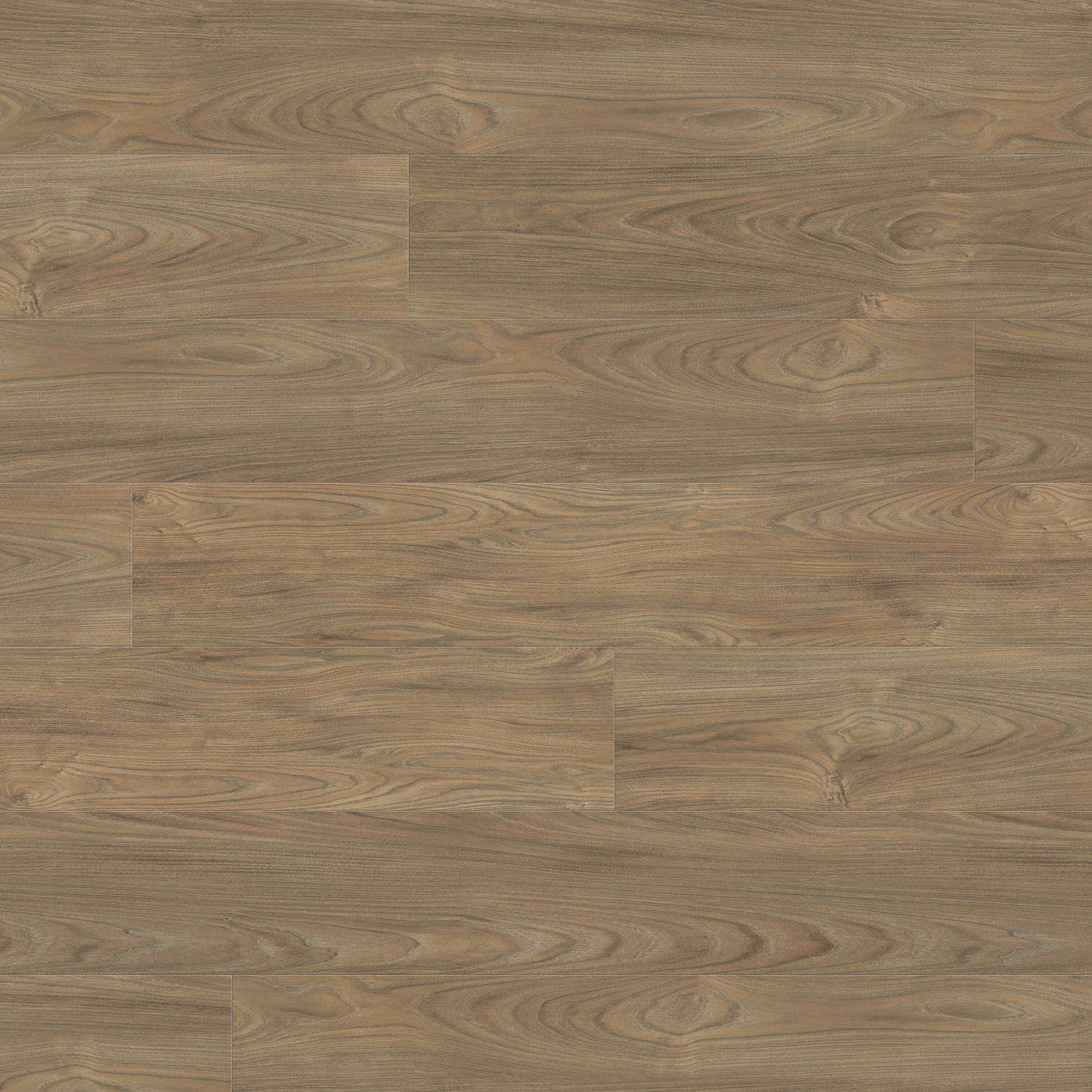 HARO Laminatgulv Gran Via Elm Vario